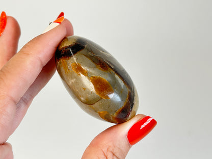 Septarian Palm Stone (2", 52mm)