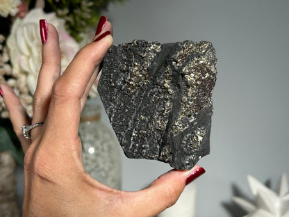 Pyrite on Shungite (3", 77mm)