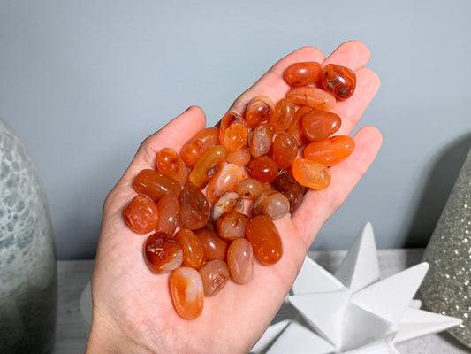 Tumbled Carnelian XS