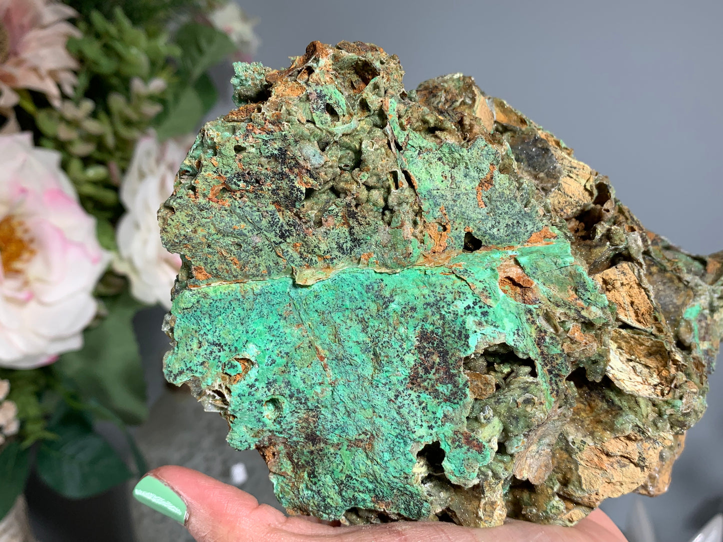 Druzy Chrysoprase (7.8", 198mm)