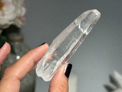 Lemurian Seed (3.2”, 82mm)