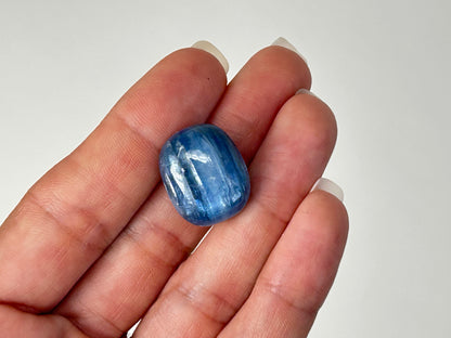 Gemmy Blue Kyanite #9