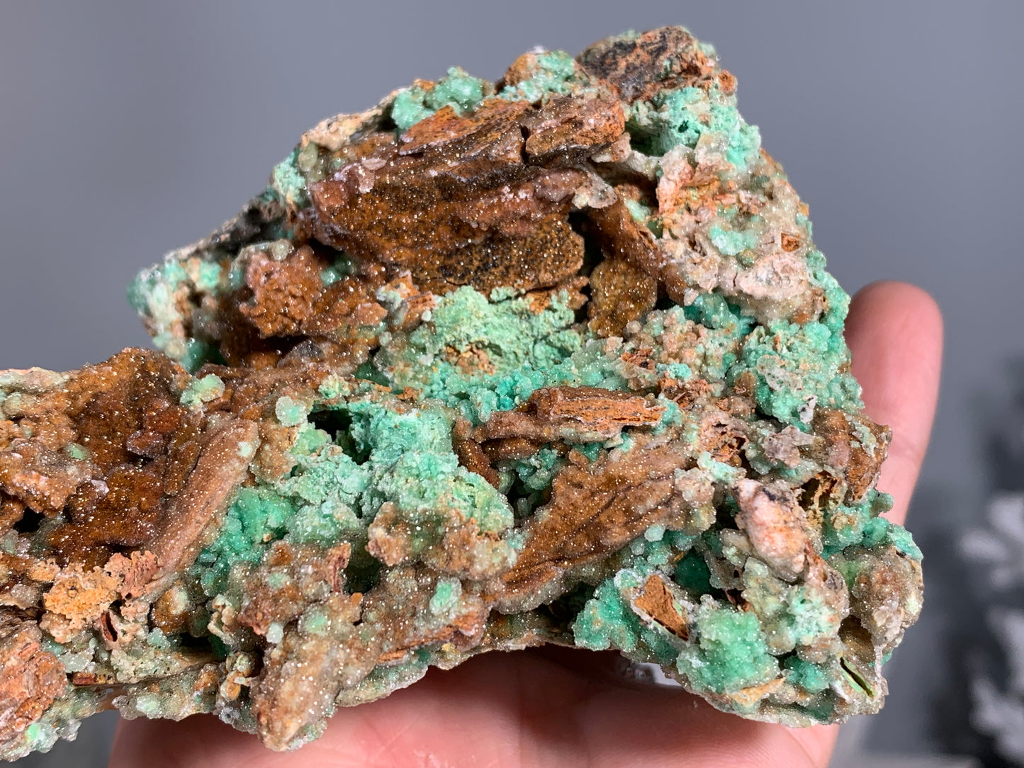 Druzy Chrysoprase (4.5", 116mm)