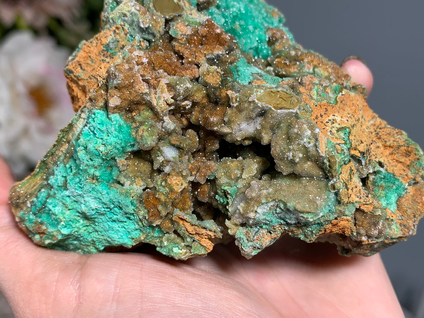 Druzy Chrysoprase (3.6", 93mm)