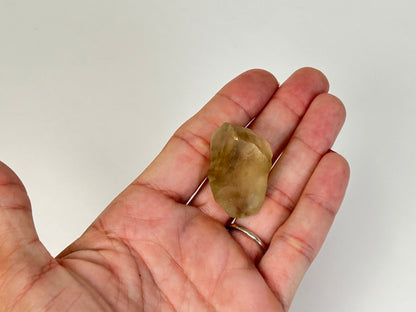 Libyan Desert Glass #11