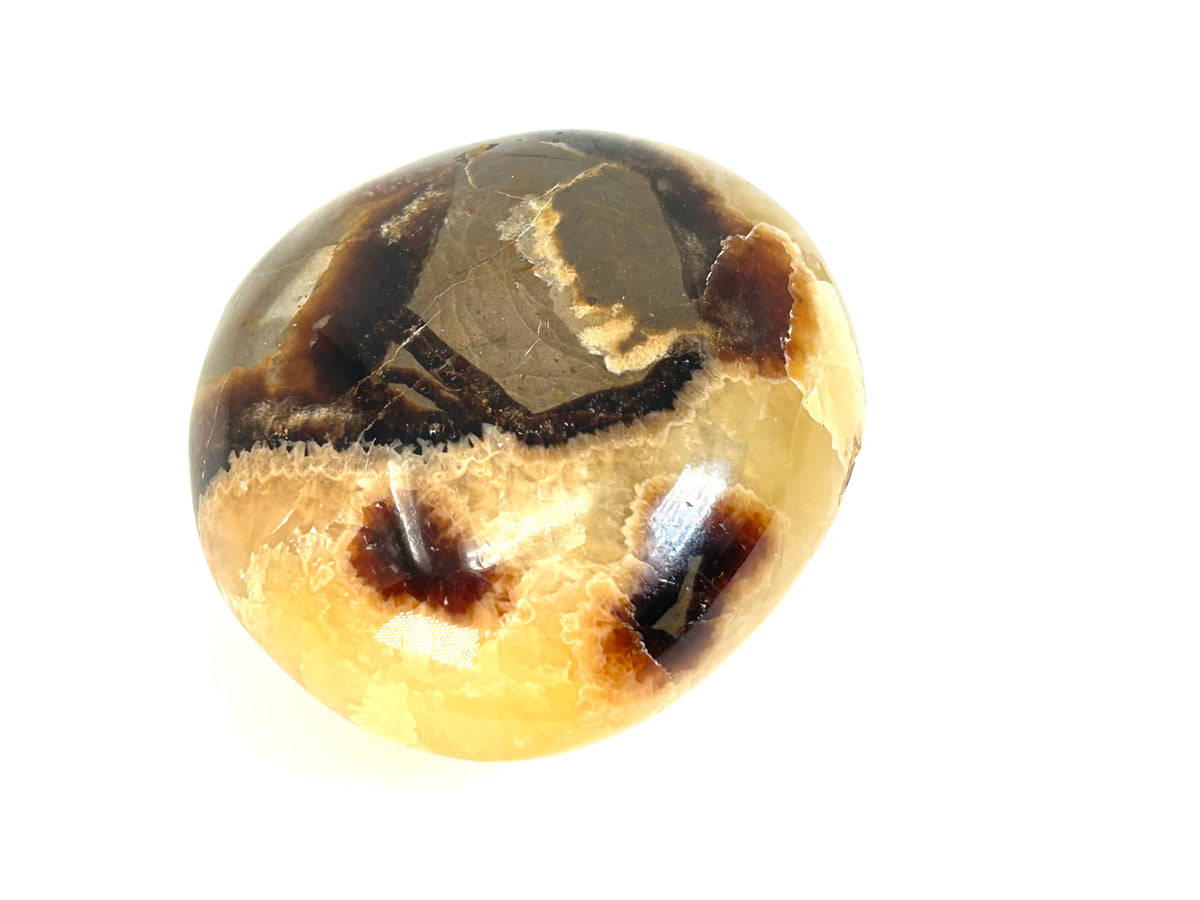 Septarian Palm Stone (2", 52mm)