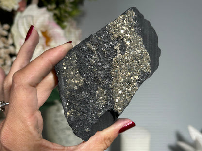 Pyrite on Shungite (4.2", 106mm)