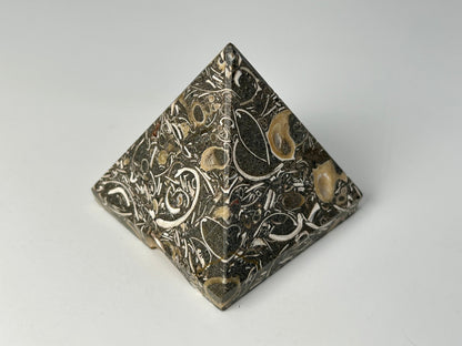 Ancient Turritella Agate Pyramid with decorative patterns on a gray background