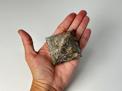 Hand holding a Ancient Turritella Agate Pyramid against a white background