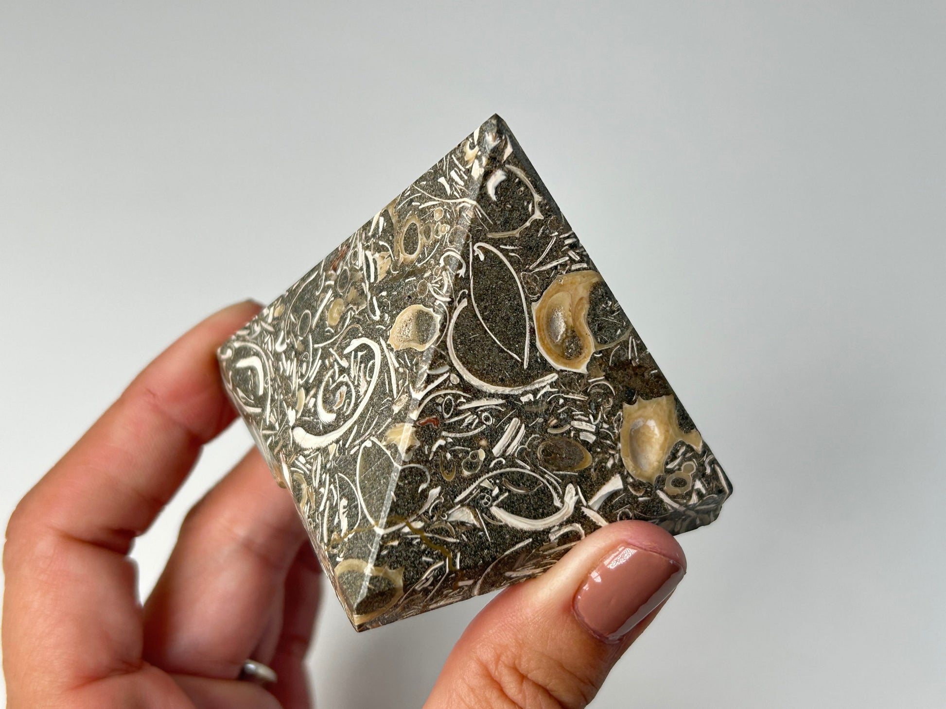 Hand holding a Ancient Turritella Agate Pyramid with intricate patterns on a plain background