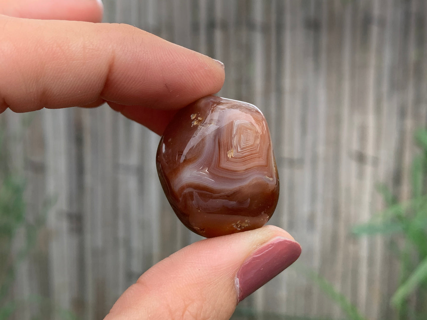 Tumbled Botswana Agate