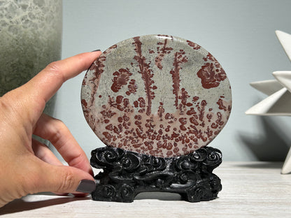 Picture Jasper Slice #245