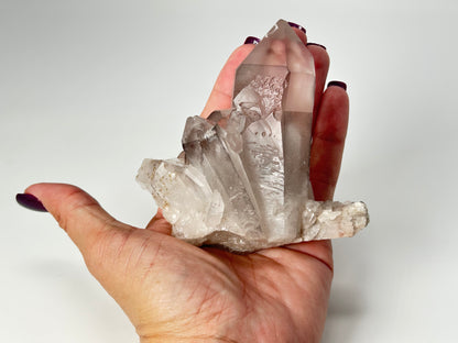 Pink Lemurian Seed (3.7", 94mm)