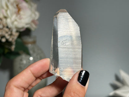 Lemurian Seed (3”, 76mm)