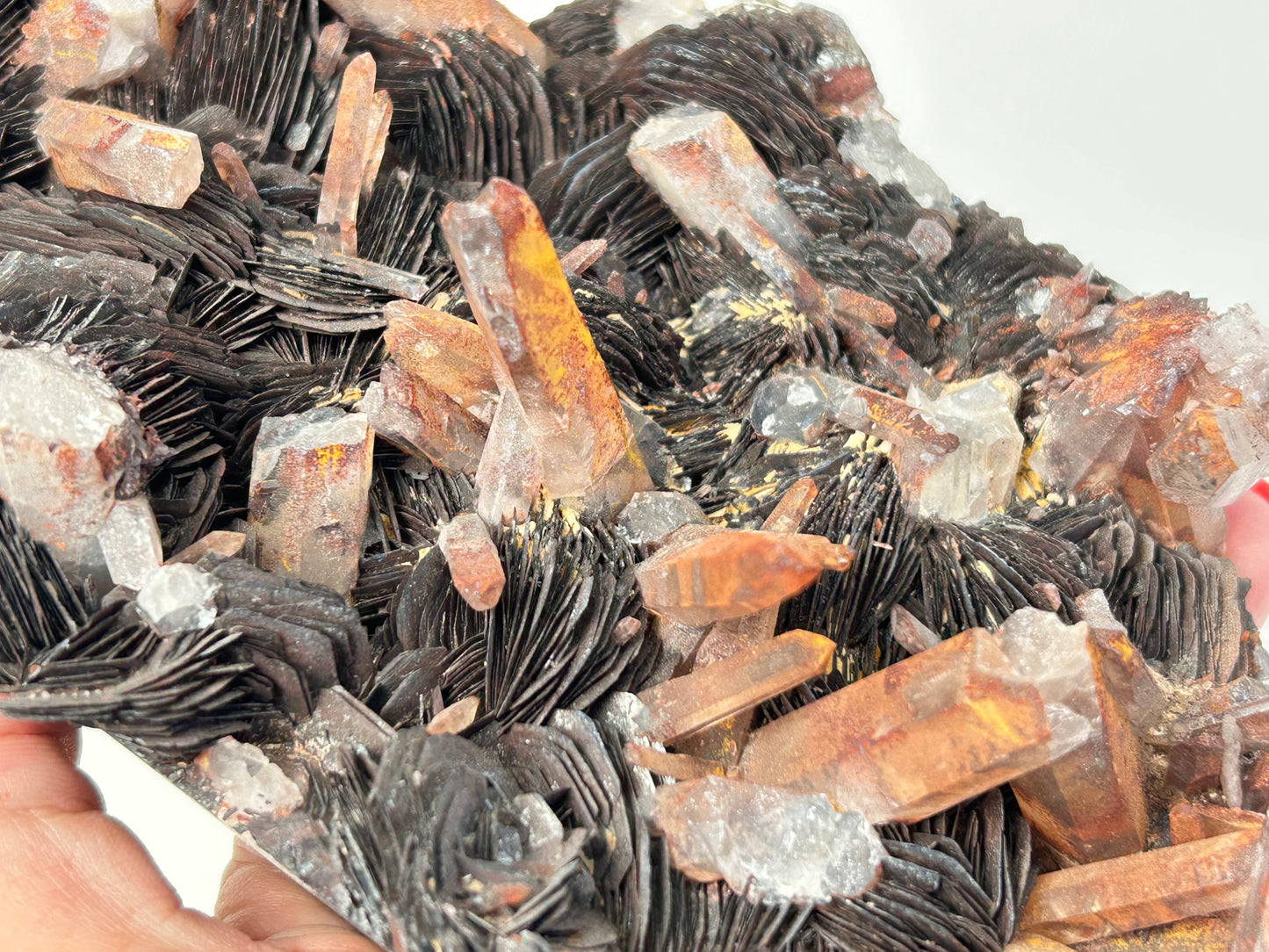 Specularite with Tangerine Quartz (6.4", 161mm)