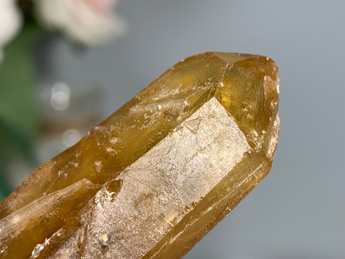 Congo Smoky Citrine Point (3", 77mm)