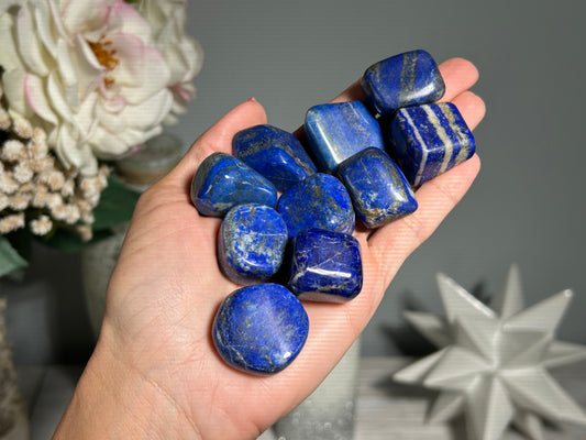 Tumbled Lapis Lazuli Medium