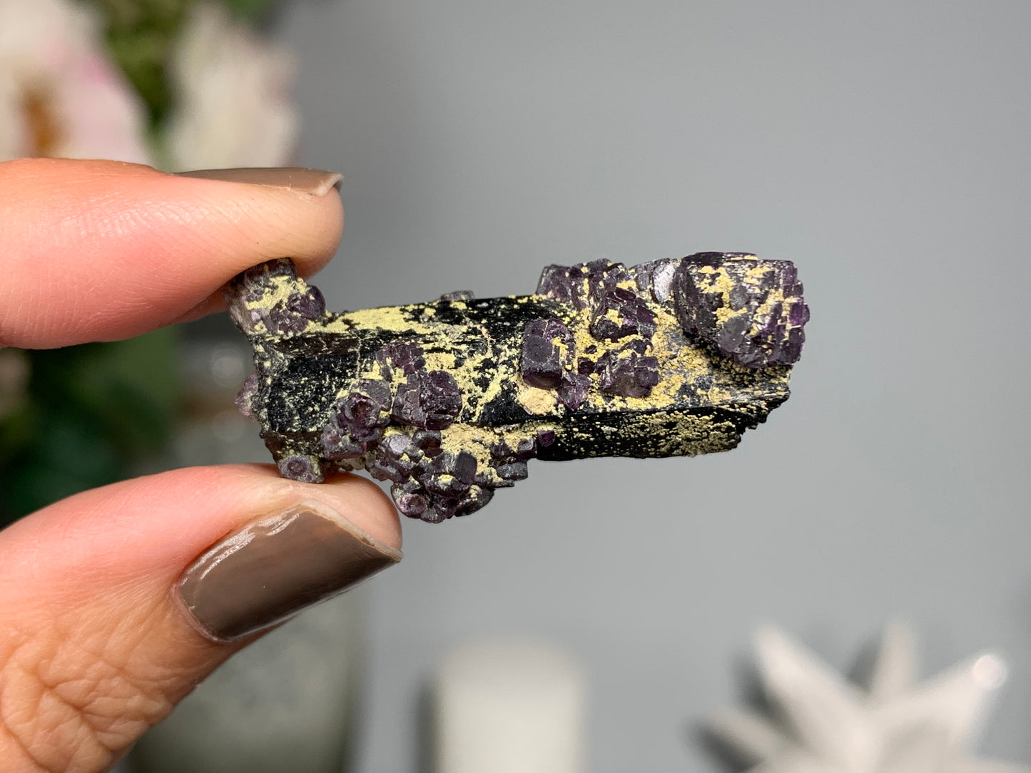 Natural Black Tourmaline with Fluorite Flowers (1.5", 38mm)