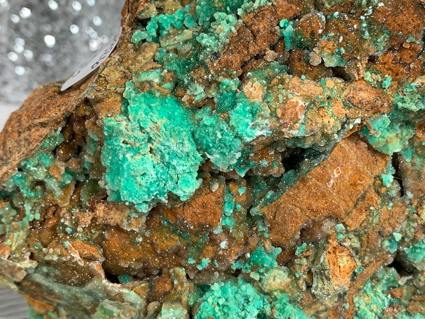 Druzy Chrysoprase (6.2", 157mm)