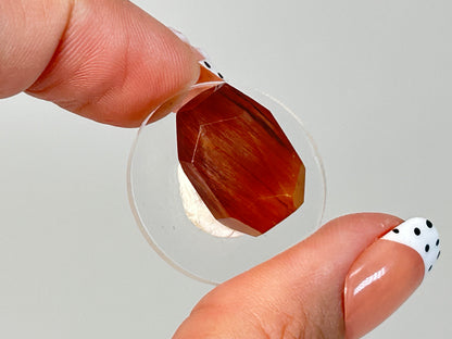Amphibole with Rutile Gem