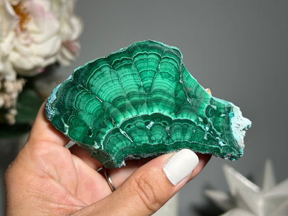 Malachite Chrysocolla Slab (3.7", 95mm)