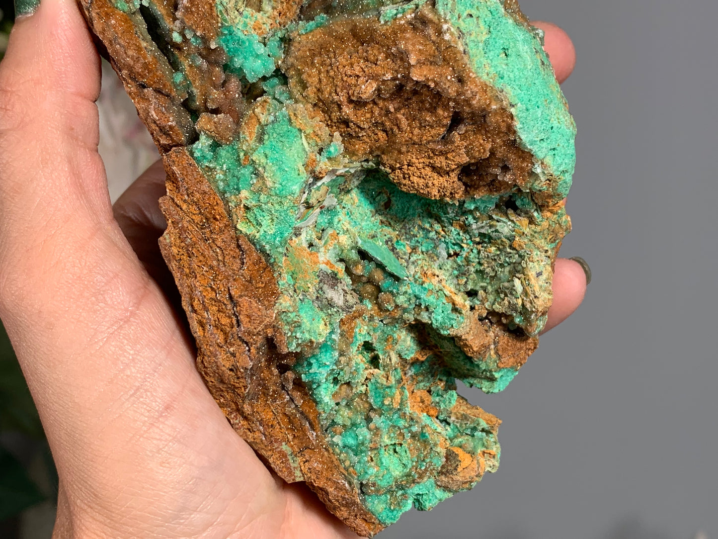 Druzy Chrysoprase (5.2", 132mm)