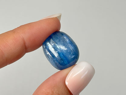Gemmy Blue Kyanite #9