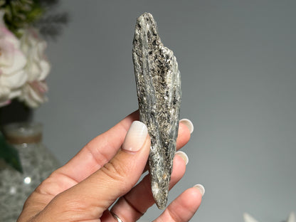 Blue Kyanite with Silver Sheen (4", 102mm)