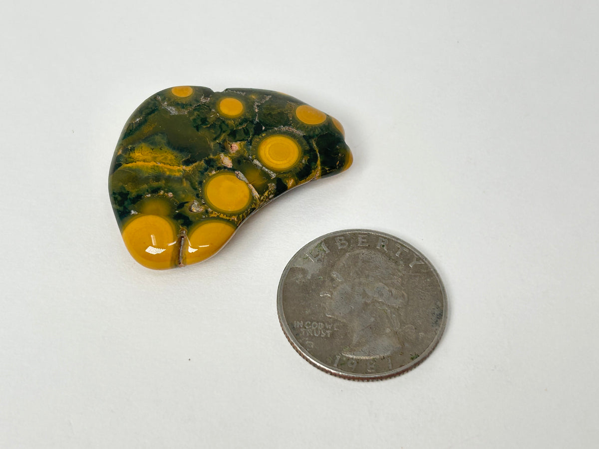 Reserved Ocean Jasper Tumble