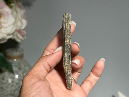 Blue Kyanite (3.6", 91mm)