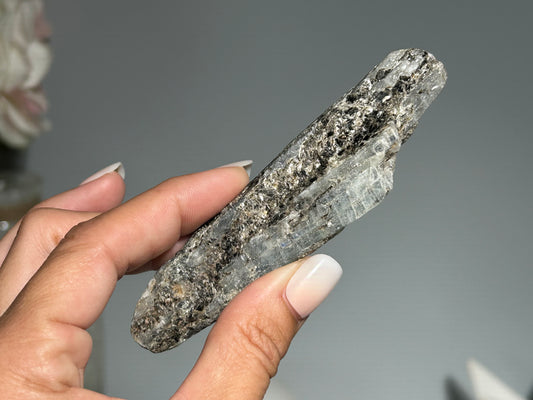 Blue Kyanite with Silver Sheen (4", 102mm)