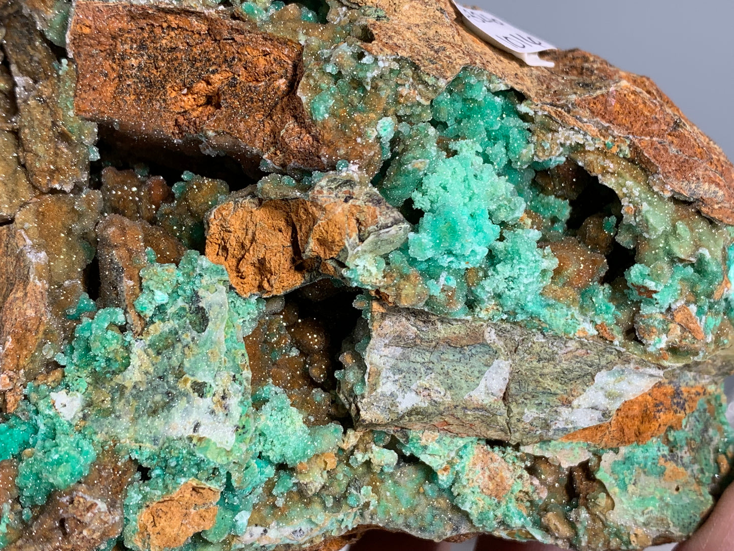 Druzy Chrysoprase (6.2", 157mm)