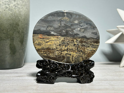 Picture Jasper Slice #219