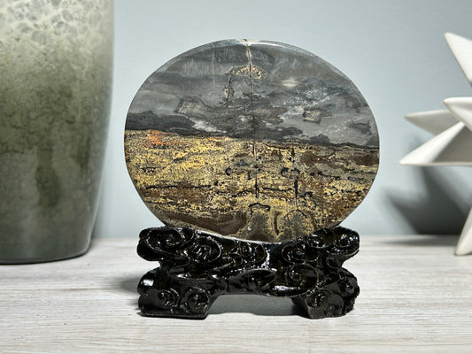 Picture Jasper Slice #219