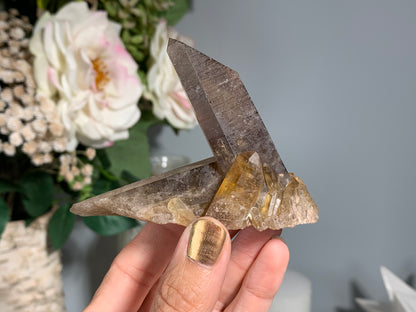Congo Smoky Citrine Cluster (3.5", 89mm)