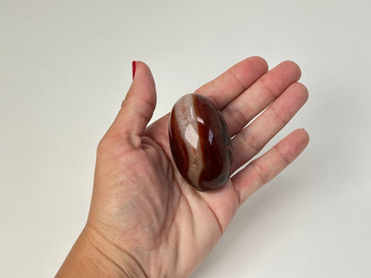 A polished oval Carnelian Crystal Shiva with dark reddish-brown and cream banding, held in a person's hand against a plain light background.