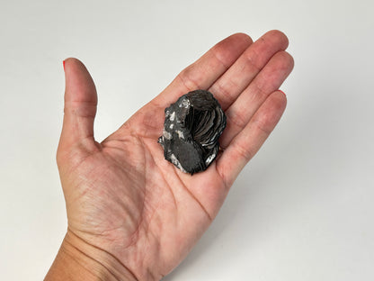 Specularite (1.9", 48mm)