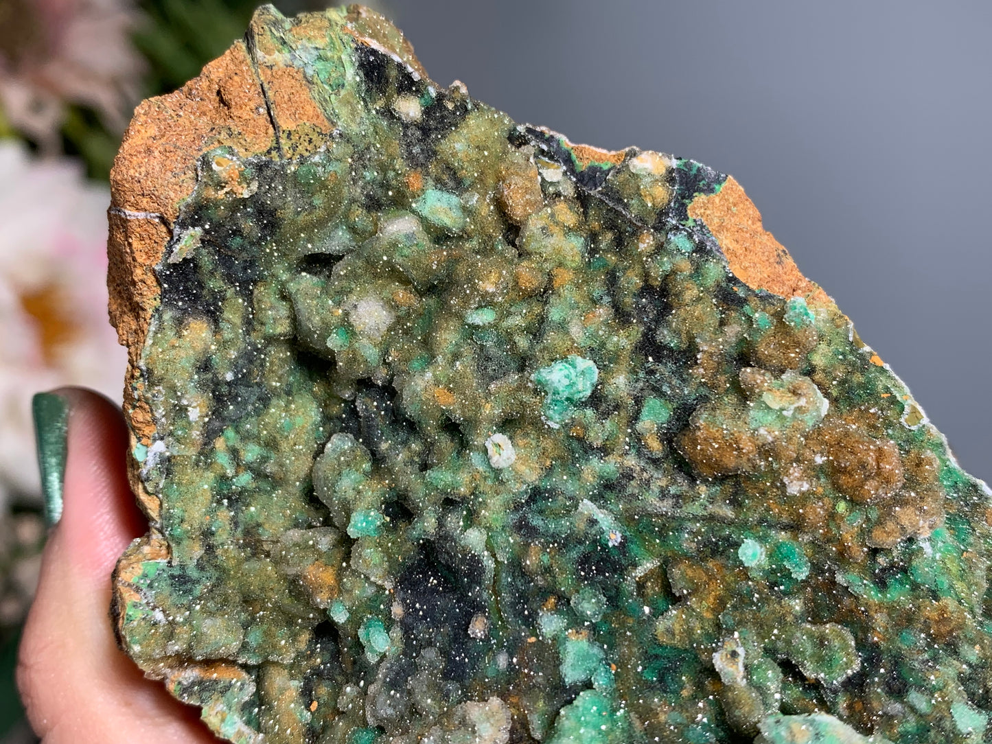 Druzy Chrysoprase (5.75", 146mm)