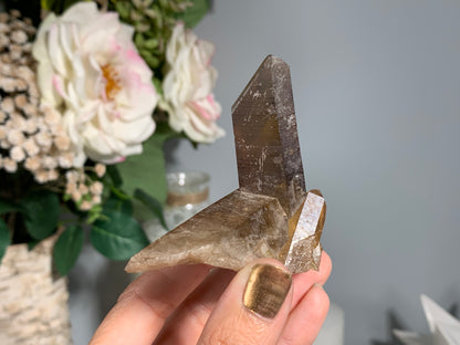 Congo Smoky Citrine Cluster (3.5", 89mm)