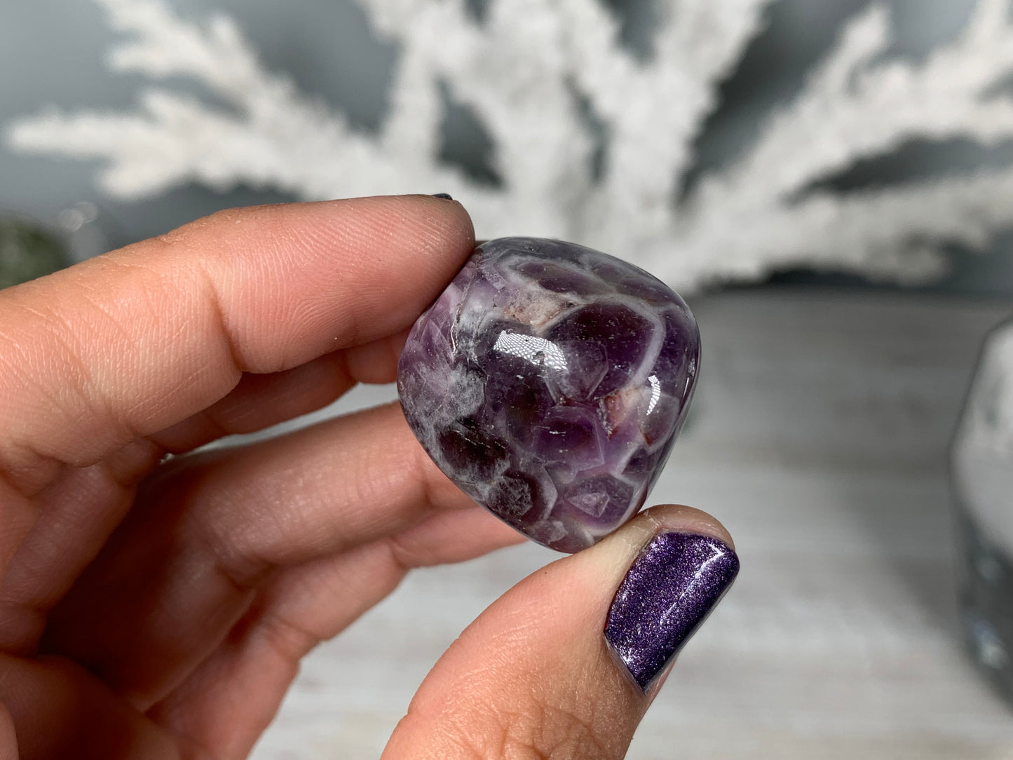 Tumbled Dog Tooth Amethyst Large