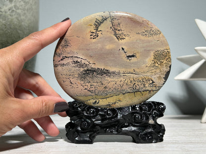 Picture Jasper Slice #280