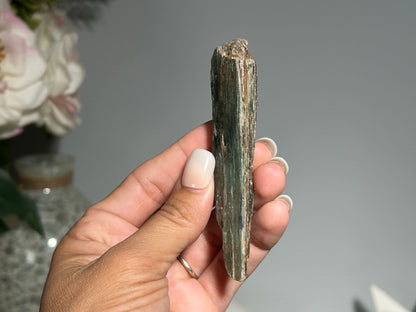 Blue Kyanite (3.6", 91mm)