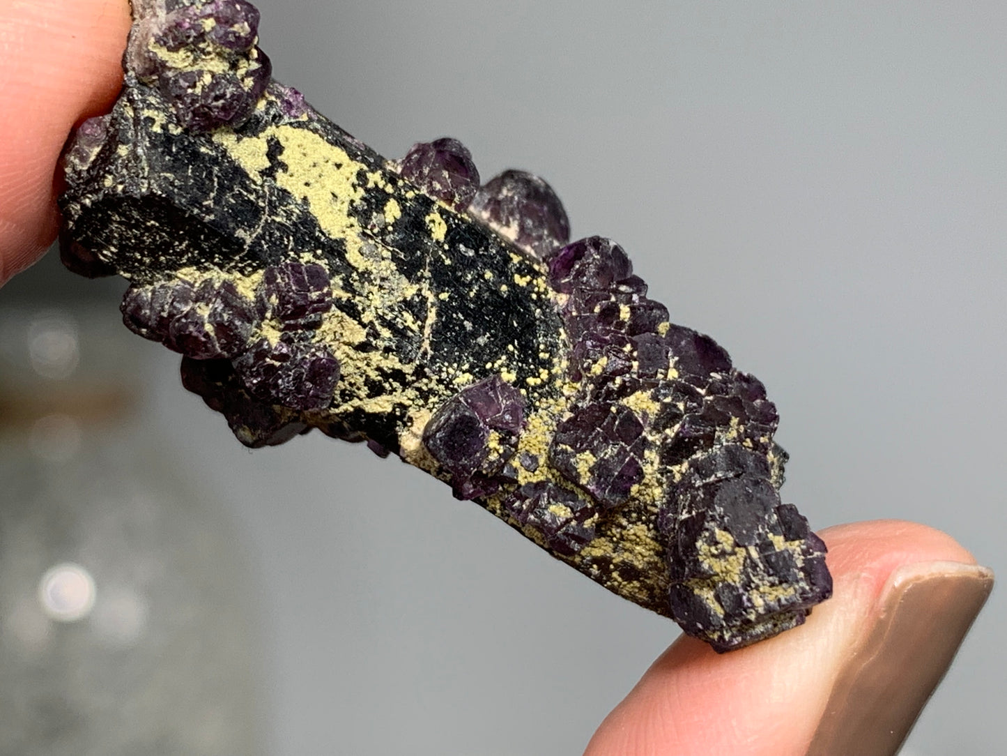 Natural Black Tourmaline with Fluorite Flowers (1.5", 38mm)