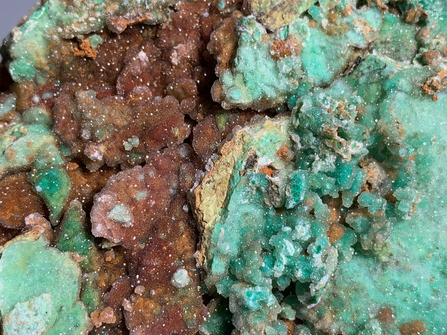 Druzy Chrysoprase (6.8", 174mm)