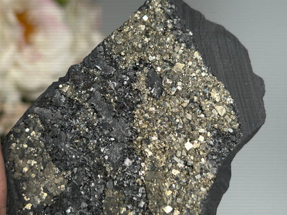 Pyrite on Shungite (4.2", 106mm)
