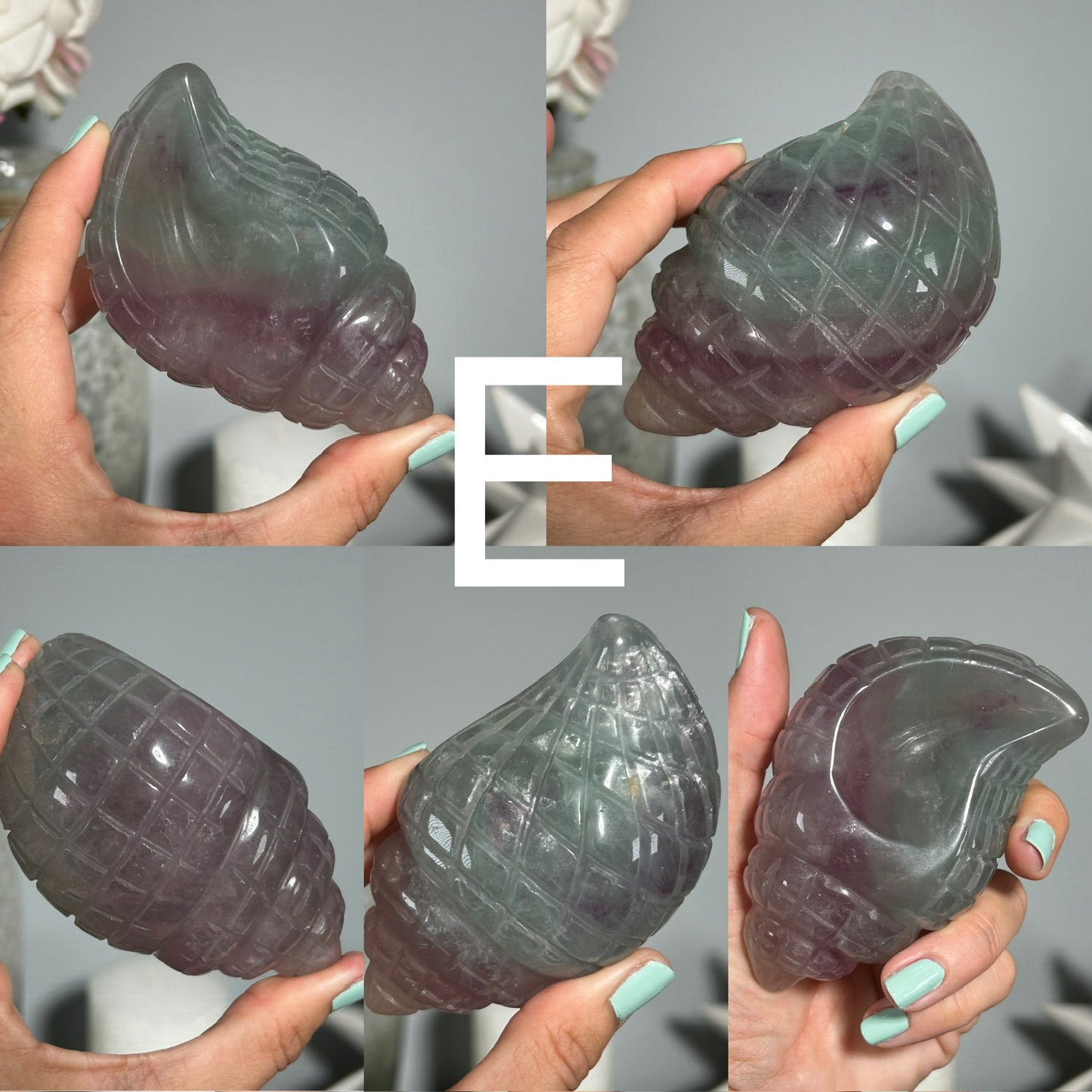 Fluorite Seashell