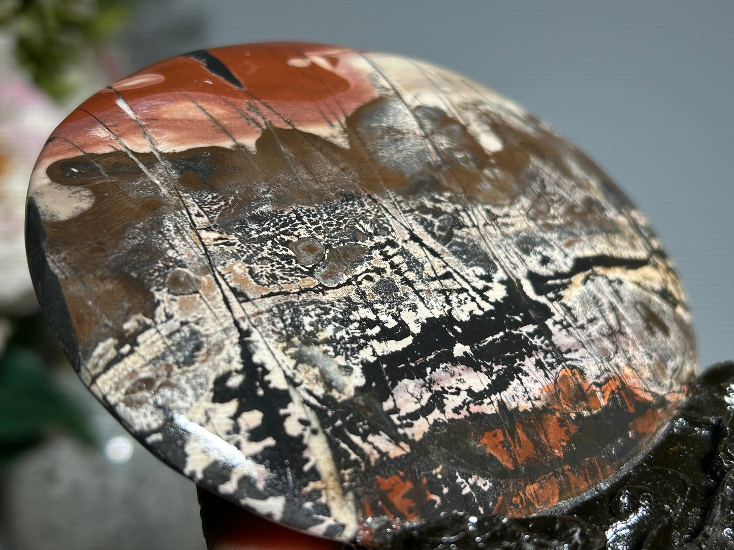 Picture Jasper Slice #344