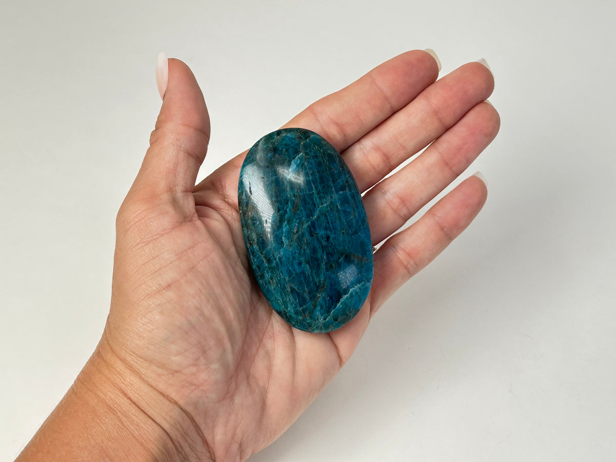 Apatite Palm Stone (2.6", 66mm)