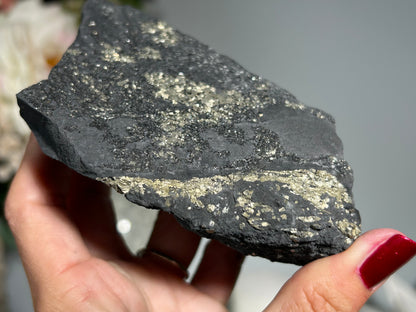 Pyrite on Shungite (4.6", 117mm)