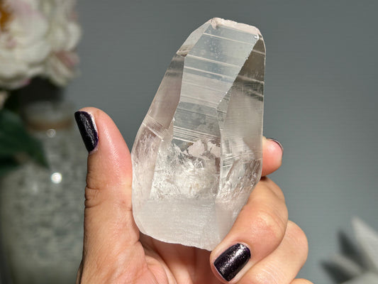 Lemurian Seed (2.75”, 70mm)